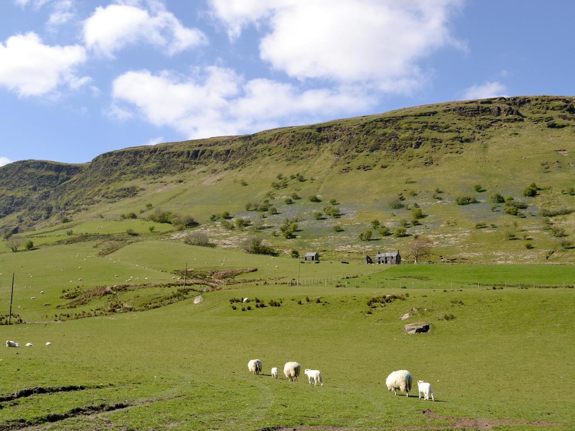 Maybill Cottage Penmachno ภายนอก รูปภาพ